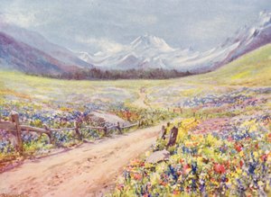  by George Jackson Flemwell