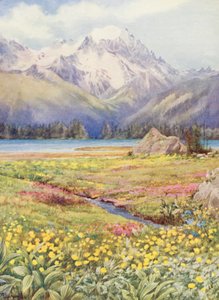  by George Jackson Flemwell