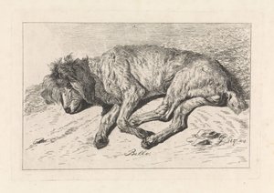 Uyuyan köpek Bello (nesne üzerindeki başlık) by George Jooss