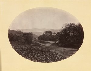Williamstown'da Bir Yol