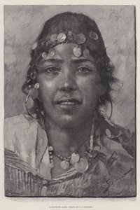 Favori Köle