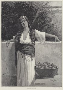 tatlı portakal