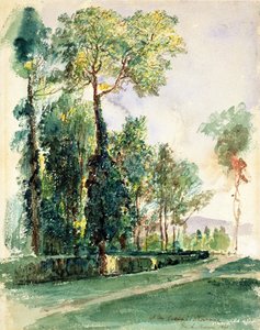 Cascine