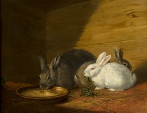 tavşanlar by George Morland