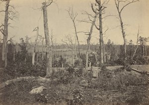 Resaca Savaş Alanı, Georgia, No 3,1864 (fotoğraf) by George N. Barnard