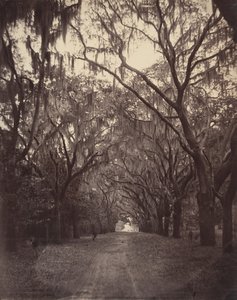 Bonaventure Mezarlığı, Savannah