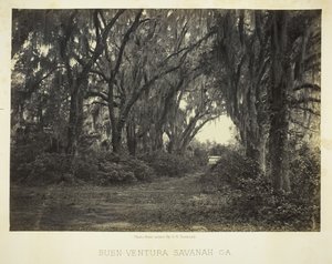 Buen-Ventura Savannah, Ga., 1866. by George N. Barnard