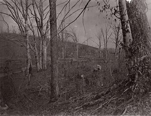 Boğa Koşusu, Virginia, 1861-62. by George N. Barnard