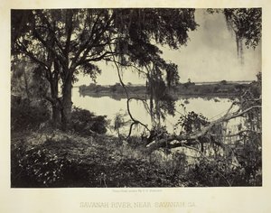Savannah Nehri yakınında, Savannah, GA, 1866.