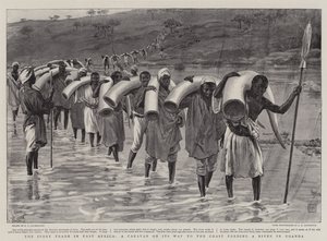 Doğu Afrika
