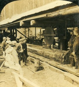 Kereste Endüstrisi, Warburton, Victoria, Avustralya, 1909.