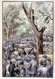 Kalabalık, Jules Verne