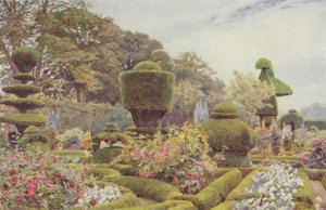 Levens, Güller ve Pembeler by George Samuel Elgood