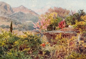 Orange Grove, Mentone (renkli lito)