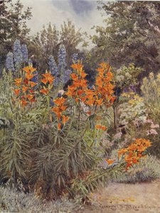 Turuncu Zambaklar ve Larkspur by George Samuel Elgood