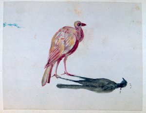 Kuş, 1820-1876 by George Sand