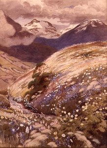Alp Çiçekleri (kağıt üzerine sulu boya) by George Soper