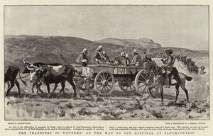 The Transport of wounded, on the Way to the Hospital at Bloemfontein 