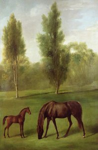 Ormanlık Bir Peyzajda Kestane Kısrak ve Tay, c.1761-63 (tuval üzerine yağlı boya) by George Stubbs