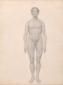 İnsan Vücudunun Yapısının Kaplan ve Bayağı Kümes Hayvanlarınınkiyle Karşılaştırmalı Anatomik İncelemesi:  İnsan Figürü, Önden Görünüm, Kesilmemiş (Tablo VI için Bitmiş Çalışma) by George Stubbs