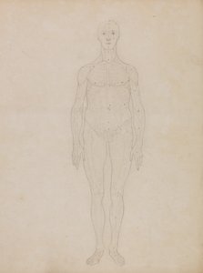 İnsan Vücudunun Yapısının Bir Kaplan ve Bayağı Bir Kümes Hayvanınınkiyle Karşılaştırmalı Anatomik İncelemesi: İnsan Figürünün İncelenmesi, Önden Görünüm (Muhtemelen Tablo XI ile ilgilidir) by George Stubbs