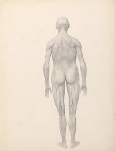  by George Stubbs