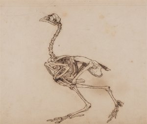  by George Stubbs