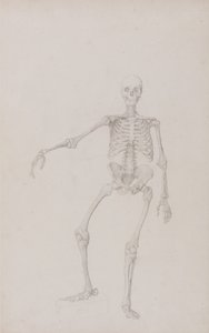  by George Stubbs
