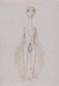 İnsan Vücudunun Yapısının Kaplan ve Bayağı Kümes Hayvanlarınınkiyle Karşılaştırmalı Anatomik İncelemesi:  Baykuş Ayakta, Önden Görünüm by George Stubbs