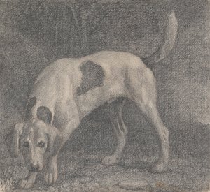 Kokuda Bir Tilki Tazısı by George Stubbs