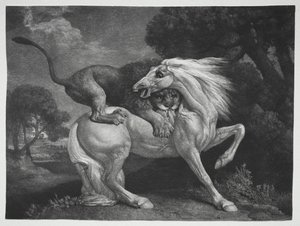 Aslan tarafından saldırıya uğrayan bir at by George Stubbs