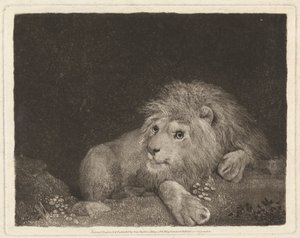 Aslan [Yaslanmış Aslan] by George Stubbs