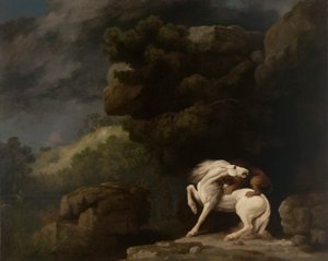 Ata Saldıran Aslan by George Stubbs