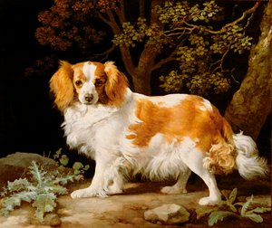 Ormanlık Bir Peyzajda Bir Karaciğer ve Beyaz Kral Charles Spaniel by George Stubbs
