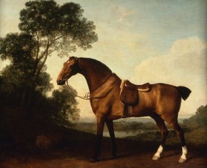 Eyerli Bir Defne Avcısı by George Stubbs