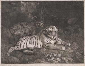 Bir Kaplan ve Uyuyan Bir Leopar by George Stubbs