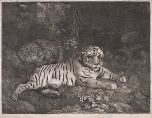 Bir Kaplan ve Uyuyan Bir Leopar by George Stubbs