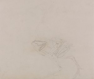 Dorking Hen Gövdesi, Yandan Görünüm (Diseksiyonun sonraki bir aşamasında vücut ve uzuvların kaslarının incelenmesi) by George Stubbs