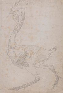 Kanatlı Gövdesi, Yandan Görünüm (Muhtemelen Anahtar Figürü Tablo X'e Oymak İçin Plakaya Aktarılmak Üzere Hazırlanmıştır) by George Stubbs