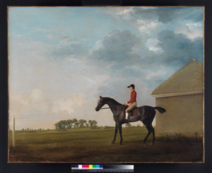 John Pratt ile Gimcrack, Newmarket Heath, 1765