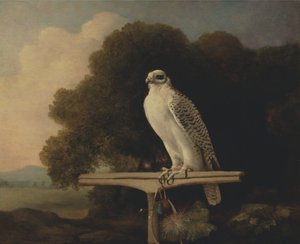 Grönland Şahini by George Stubbs