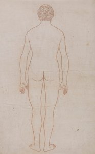 İnsan Vücudu, Arkadan Görünüm (Tablo VII için Taslak Çizim) by George Stubbs