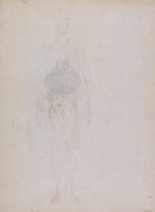 İnsan Figürü, Önden Görünüm (Büyük ölçüde ana hatlarıyla) by George Stubbs