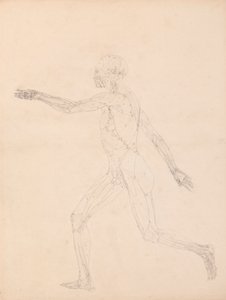 İnsan Figürü, Yandan Görünüm (Tablo XIII'deki anahtar figür için) by George Stubbs