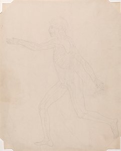 İnsan Figürü, Yandan Görünüm by George Stubbs