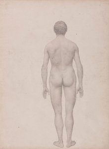 İnsan Figürü, Arkadan Görünüm, Kesilmemiş (Tablo VII için Çalışma Bitmiş) by George Stubbs