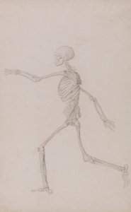 İnsan İskeleti, Soldan Görülen Yan Görünüm, Koşarken (Tablo III için Çalışmayı Bitirdi) by George Stubbs