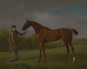 Lustre, bir Damat tarafından tutulur by George Stubbs