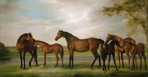 Yaklaşan Fırtına Tarafından Rahatsız Edilen Kısraklar ve Taylar, 1764-66 by George Stubbs