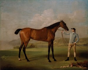 Molly Long-legs Jokeyi ile birlikte by George Stubbs